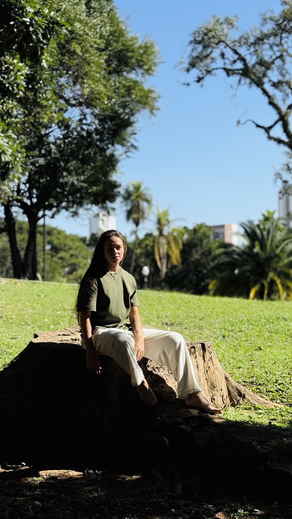 Alice — quem está por trás da TransformAlice
